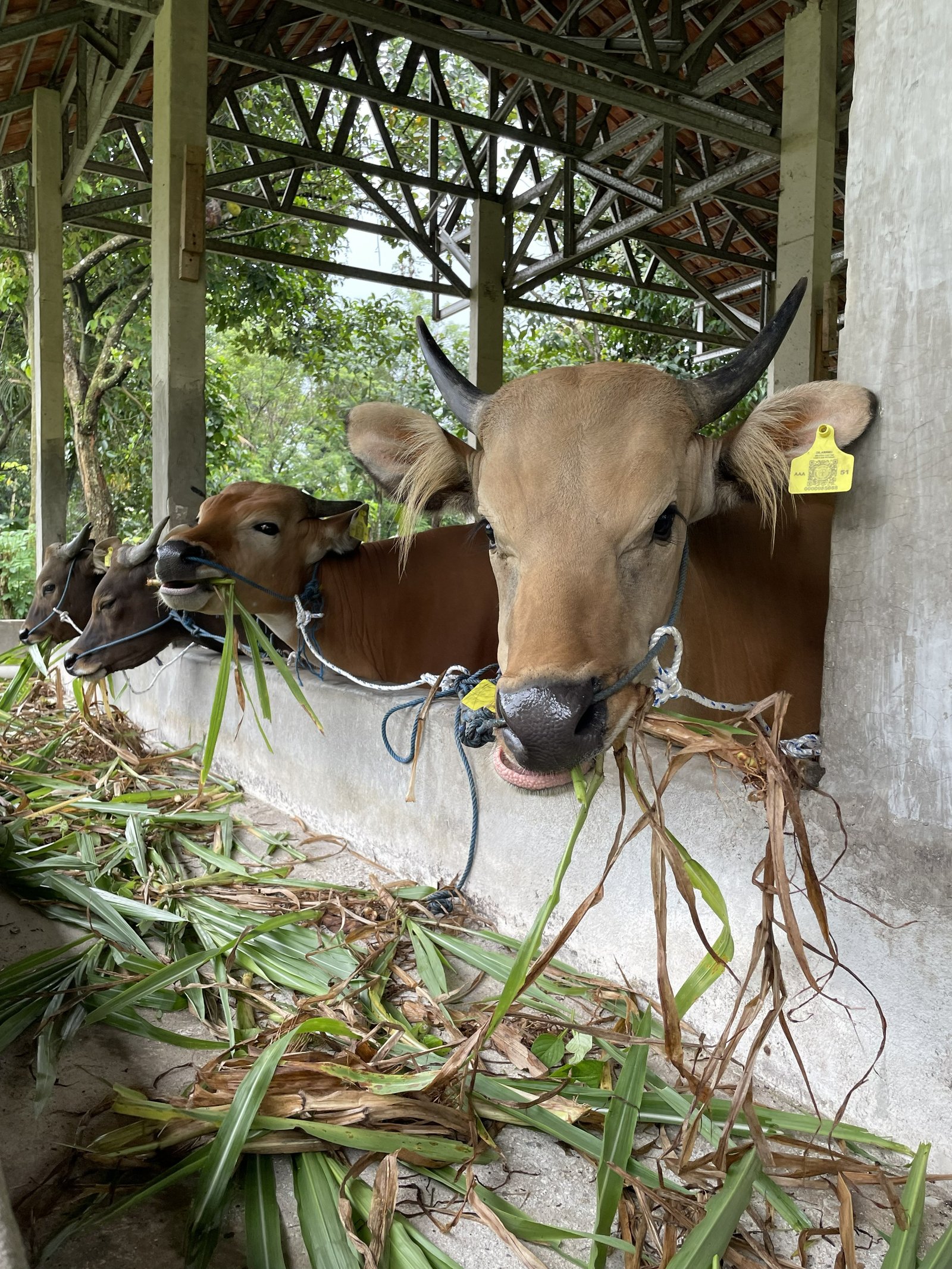 Integrated Farm
